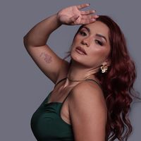 vandinhasantoos25