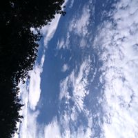 .dont_cream69