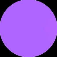 shirley_trends254.ke