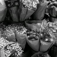 suara asli - kang ff