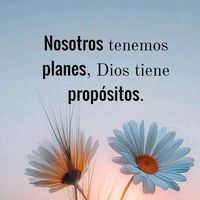 amordeverdad_0412