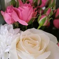 original sound - zamzagul.89