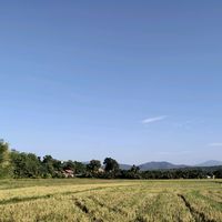 เสียงต้นฉบับ - tao💕🎀🎐toon