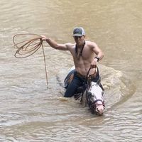 balaguerhernandez0.1