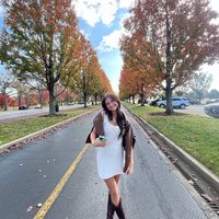 .lillylane