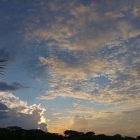 letra_melodias_del_alma