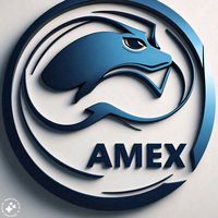 amex293