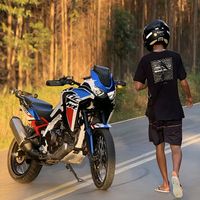 som original - Ryan_244_