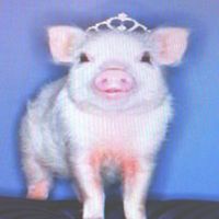 swagprincesss444