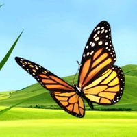 mensagemdemotivacao01