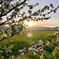 merry_christmas202627