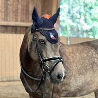 equestrian.horsessss