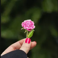 original sound - perla12124