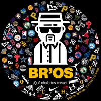 brosgt_2.0