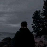 music_vibes491