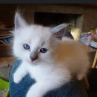 original sound - cringevids4uu