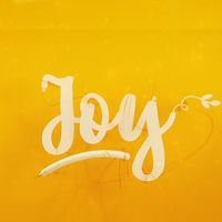 joy_diseno