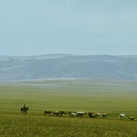 оригинальный звук