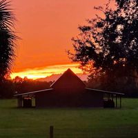 beautifuldisaster472