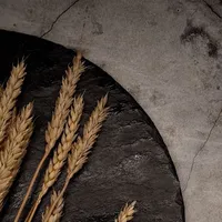 original sound - tan.kh