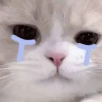 original sound - hs.xyp.love