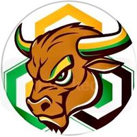 blockchaiinthebullhorrn