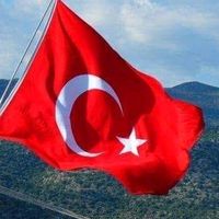 fatmausein