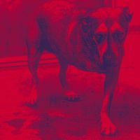 alice_in_chains_4l