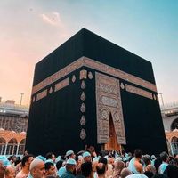 bilalasif3606