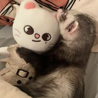 оригинальный звук