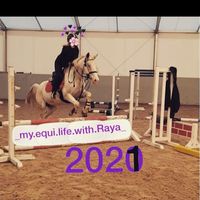_my.equi.life.with.raya_