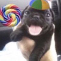 danxptt2