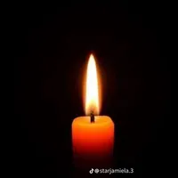 original sound - _ozed