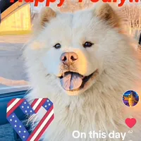 original sound - olgacordero17