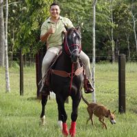 herreraagustin4.4