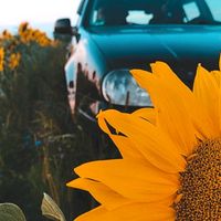 оригінальний звук