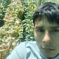leninmejiacollas5