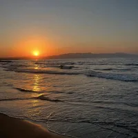 original sound - life.without.purity
