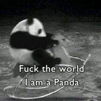 panda_clumsy