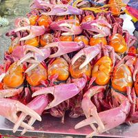 cangrejosquitoodemachala