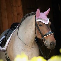 arosa_la_rose_official