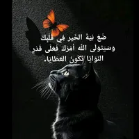 original sound - aycha138