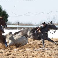 vaqueirosemcalca_ofc