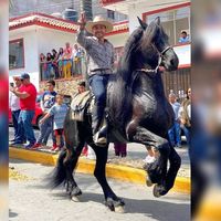 ederandradeguadarrama