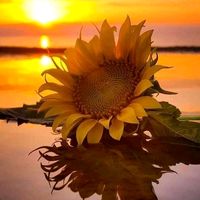 user2189741756426isabel