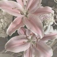 gasoline by halsey instrumental