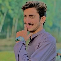 talhaafridi3020