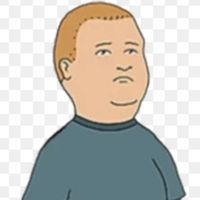 thebobbyhilllookalike