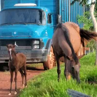 original sound - degasperi10