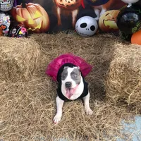 original sound - daniizambrano0